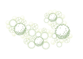 architecture drawing plant tree top view plan greenery vegetation vector. design nature architectura