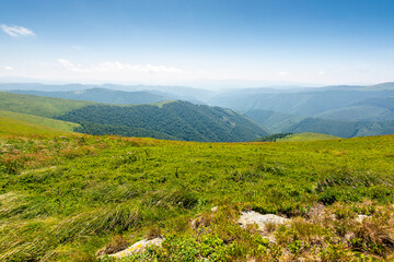 Wall Mural - green meadow in mountain with clouds on the sky. vacation season. nature landscape of ukraine carpat