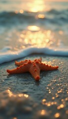 Poster - Starfish resting on the shore at sunset with warm sunlight reflecting on the ocean