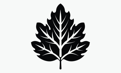 Oak Leaves Silhouette Vector
