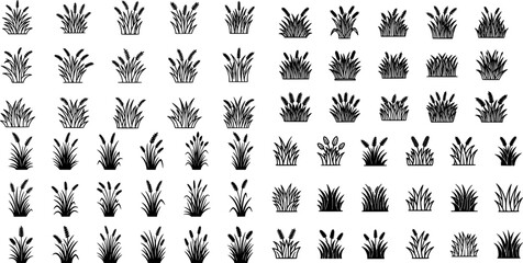 Wall Mural - Elegant black icons of various grass types arranged in a clean, minimalist layout for design and illustration purposes