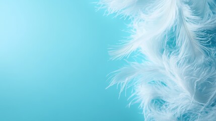 Naklejka na meble A close-up of delicate white feathers gracefully arranged against a soft turquoise background, embodying tranquility and elegance, engaging the viewer's sense of calm.