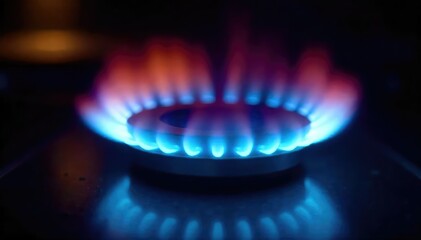 Wall Mural - close-up shot of a vibrant blue and orange gas burner flame, flickering intensely against a dark bac