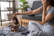 © Wasana - A woman is talking on her cell phone while petting a small brown dog