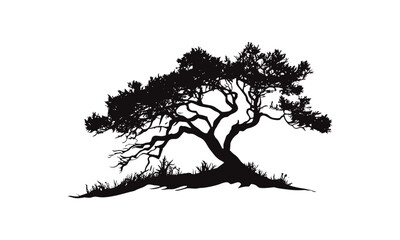  Nature Clipart Juniper Tree Vector Illustration, forest silhouette pack, wild desert hand-drawn trees, rustic woodland design, evergreen cutout, outdoor cactus elements, dry flora.