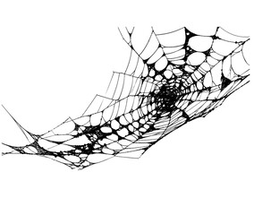 Intricate Spiderweb Silhouette on Transparent Background for Halloween Decor, Themed Designs, and Creepy Visual Elements in Digital Art