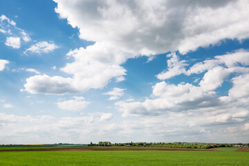 Poster - Stunning azure sky filled with soft, white clouds with tranquil rural landscape.