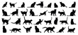 © Yanka - cat silhouette set. cat or kitty isolated farm animal silhouette icon vector collection