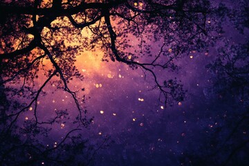 Aufkleber - Nature's silhouette against a vibrant sunset sky showcasing a blend of purple, orange, and yellow hues with intricate tree branches creating dramatic patterns