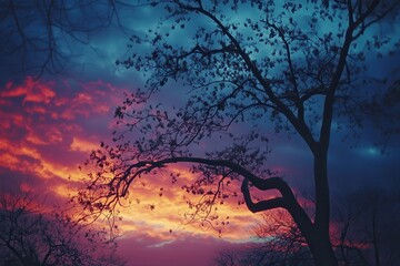 Aufkleber - Nature's silhouette against a vibrant sunset sky showcasing a blend of purple, orange, and yellow hues with intricate tree branches creating dramatic patterns