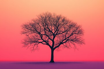 Poster - Silhouette of a large leafless tree against an orange and pink sky at sunset during a peaceful evening in nature