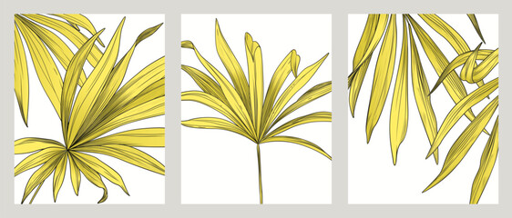Wall Mural - tropical art background with yellow leaves of exotic plants with elements of hand-drawn line. botani