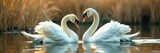 Two swans preening, gentle blur of reeds and water, fauna, cygnus