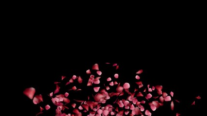 Red rose petals object reveal element on transparent background (alpha)