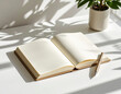 © snowdrop - Minimalist desk with open notebook and green plant