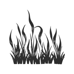 Wall Mural - grass silhouette illustration. nature and growth concept isolated vector illustration