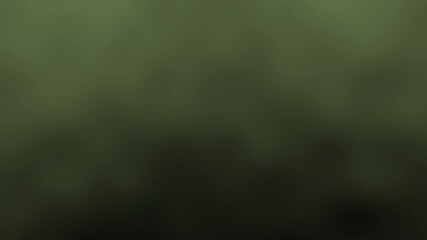 Wall Mural - a soft, blurred green background with a gradient effect, creating an abstract and natural look, abst