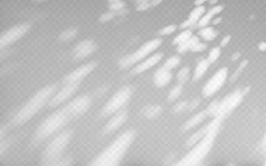 Wall Mural - abstract shadow overlay from tree branch on a transparent background.