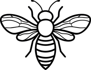 Poster - Black and white line art drawing of detailed bee illustration. Vector illustration