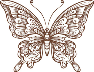 Aufkleber - Intricate line drawing of a butterfly with ornate patterns, artistic design. Vector illustration