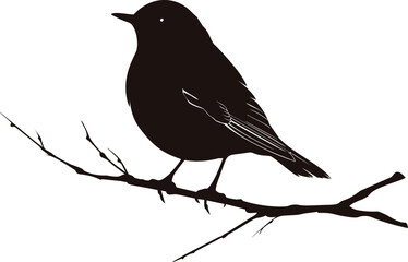 Aufkleber - Silhouette of a bird perched on a bare branch with detailed feathers. Vector illustration