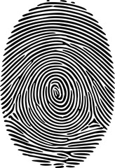 Poster - Detailed black and white fingerprint swirl pattern illustration. Vector illustration