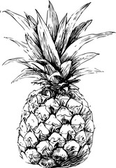 Poster - Detailed black and white sketch of a pineapple with spiky leaves. Vector illustration