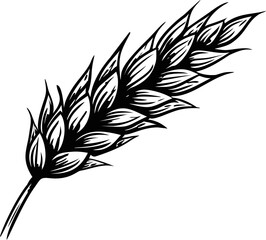 Poster - Black and white illustration of a detailed wheat ear sketch. Vector illustration