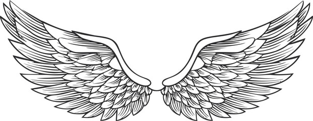 Poster - Black and white illustration of detailed symmetrical angel wings sketch. Vector illustration