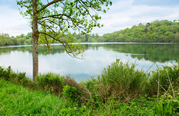 Wall Mural - spring morning meadow near the river with green tree on the shore.