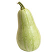 © MDSHADIKUL - A whole single bottle gourd isolated on a transparent background