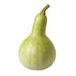 © MDSHADIKUL - A whole single bottle gourd isolated on a transparent background