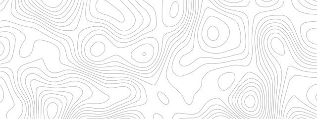 Wall Mural - Abstract pattern with lines seamless pattern and topography. sea map and mounted map area space geometrics line technology topo landscape grid map discovery area. Modern design white background.	