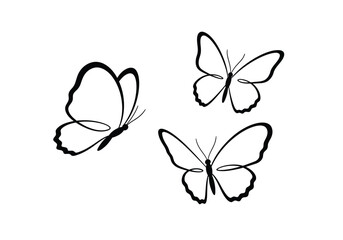 3 butterflies drawing. This image showcases three butterflies, graceful winged insects, depicted in various poses, emphasizing their light and delicate nature. Vector sketch line art draw.