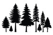 © Silhouette stock - Silhouettes of evergreen trees in a forest setting