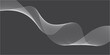 © ROPA - Abstract black and white wave pattern with digital lines and smooth curves background