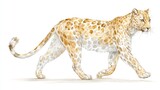 An artistic watercolor painting showcases a graceful leopard in white background.
