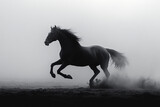 Horse rearing up dramatically before a race silhouette