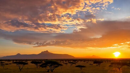 Aufkleber - African savanna sunset with acacia trees and mountains.