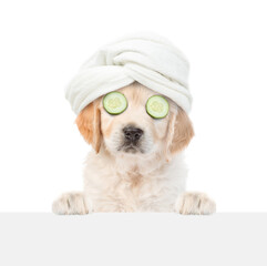 Fototapete - Cute Golden retriever puppy with towel on it head and with slices of cucumber on it eyes looks above blank white banner. isolated on white background