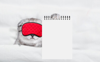 Fototapete - Cute kitten with mask for sleep relaxing on a bed and showing blank notepad. Top down view. Empty space for text
