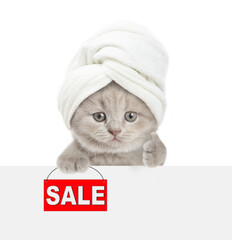 Poster - Cute kitten with towel on it head shows signboard with labeled 