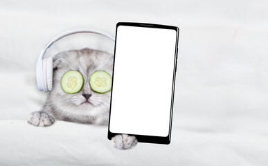 Fototapete - Cute tiny kitten lying on a bed with headphones on it head and with a pieces of cucumber on it eyes and showing big smartphone with white blank screen in it paw. Top down view. Empty space for text