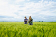 © Zoran Zeremski - Two farmers standing in wheat field examining crop yield..