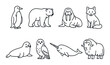 © Іван Ніколов - Polar animal icon set in linear style. arctic wildlife design and arctic fauna concepts