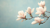 A High Resolution image of serene magnolia bloom art against pale blue backdrop.