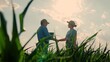© Victoriia - Farmers man and woman work shaking hands in field. Fellow farmers check growth of corn by analyzing harvest laptop. Farmers talk, business people, teamwork. Business, agricultural workers, agronomist