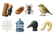 © Марія Томилович - Insectivorous Birds and Insects. 3D icons set of insectivorous birds and insects: woodpecker pecking, ant on bark, fly, warbler,