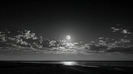 Wall Mural - full moon above ocean & beach