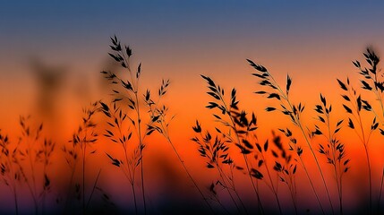 Wall Mural - a close-up of tall grass with a sunset in the background